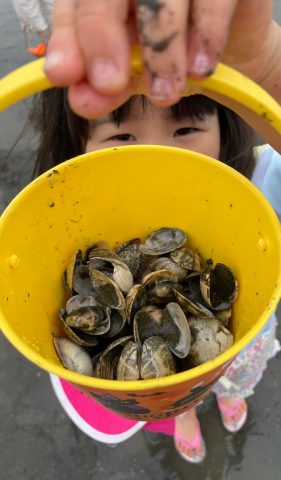 海で遊ぼう！
